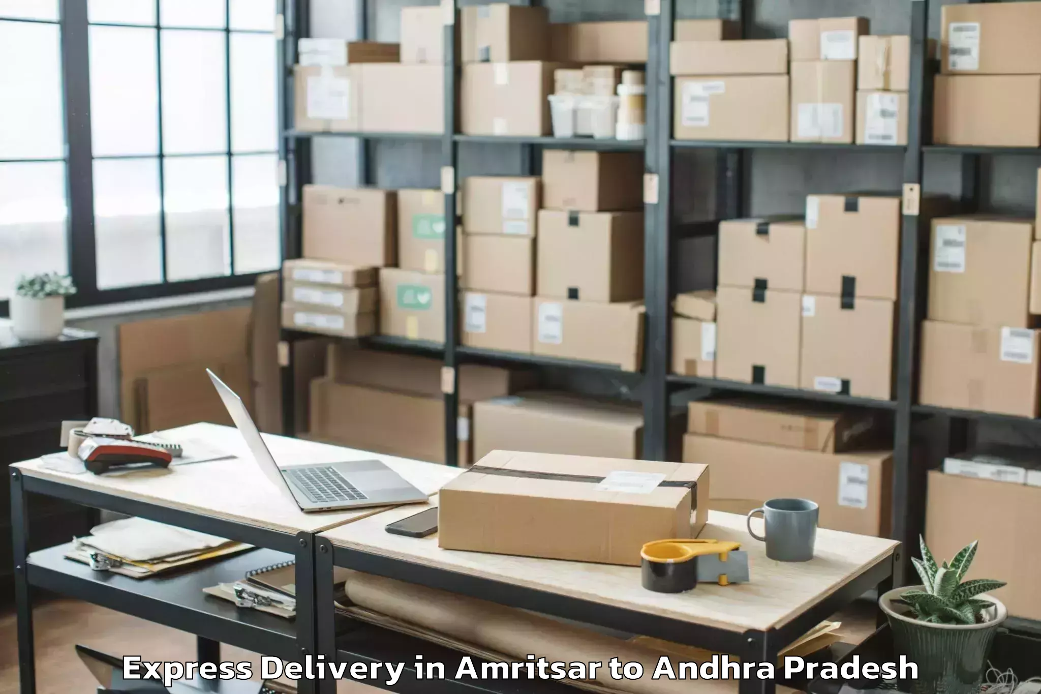 Top Amritsar to Tallapudi Express Delivery Available